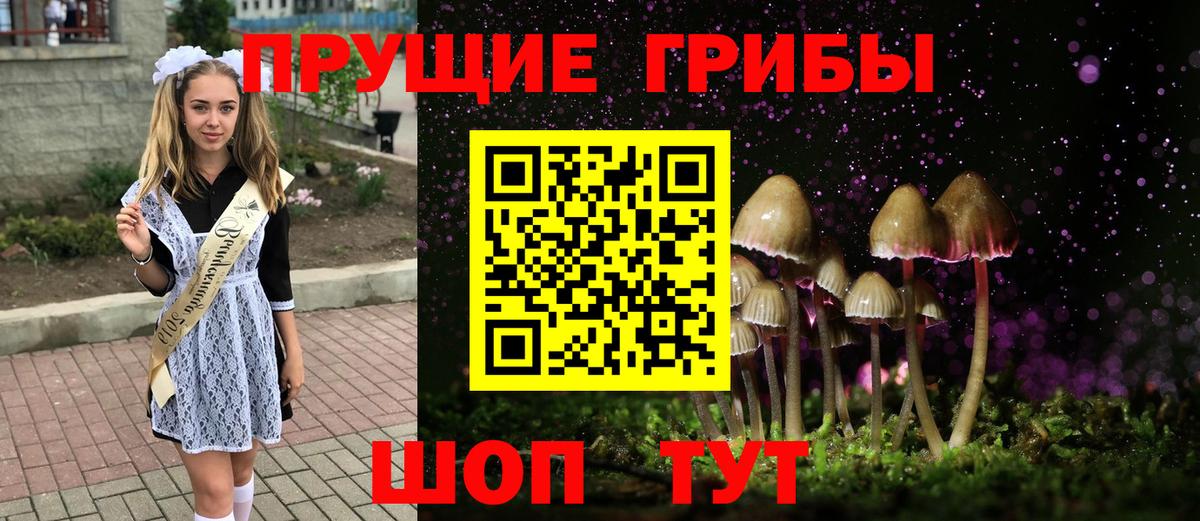Псилоцибиновые грибы GOLDEN TEACHER  Вход с VPN  Губаха 